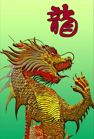 "Shaolin Dragon"