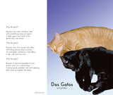 "Dos Gatos"