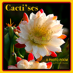 CACTI'SES: Photo Poem