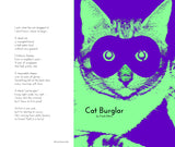 "Cat Burglar"