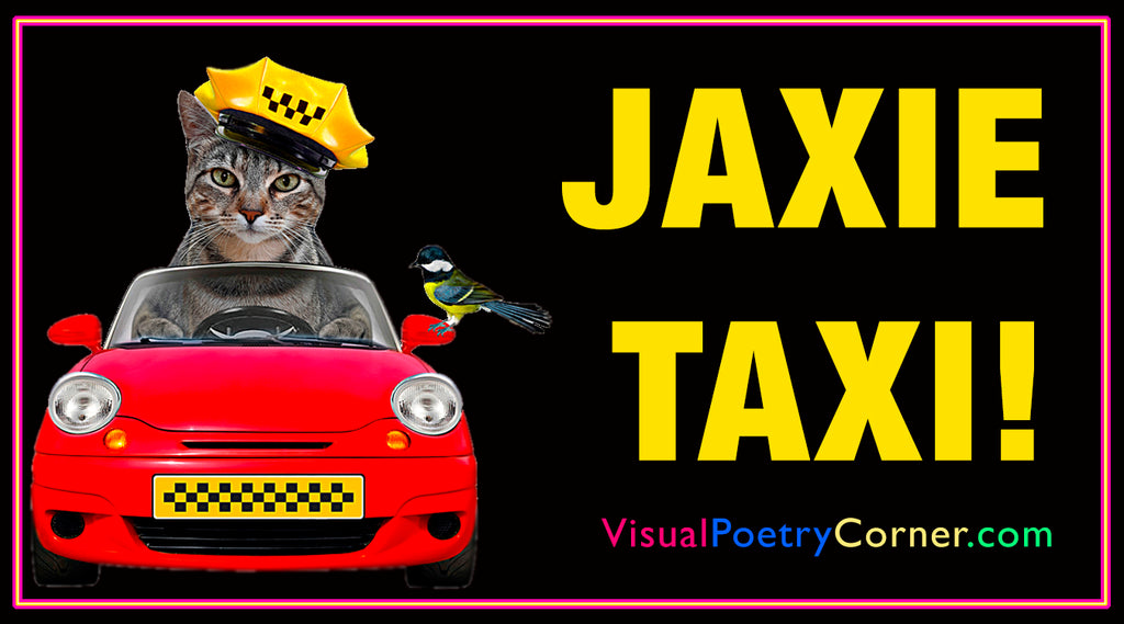 Jaxie Taxi! (Video Poem)