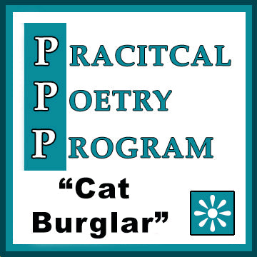 Companion Power Point Presentation: "Cat Burglar"